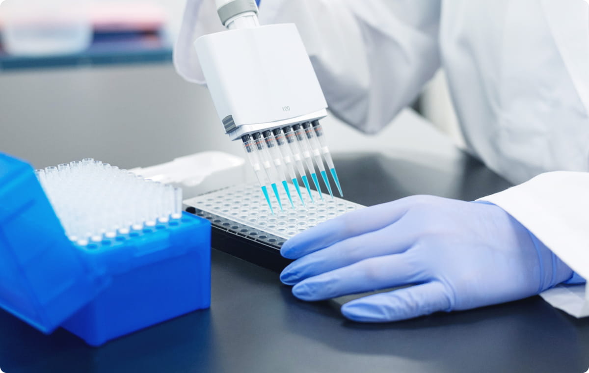 研究者がマルチチャンネルピペットを使ってプレートに試薬を分注している