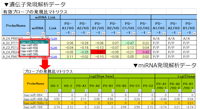 japaneseclass jp