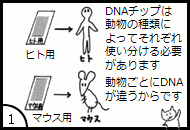 株式会社dnaチップ研究所