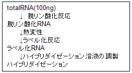 実験イメージ 実験イメージ