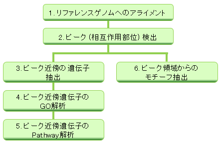 バイオインフォマティクス解析 バイオインフォマティクス解析