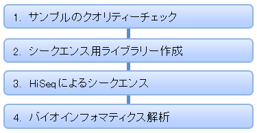 解析の流れ 解析の流れ
