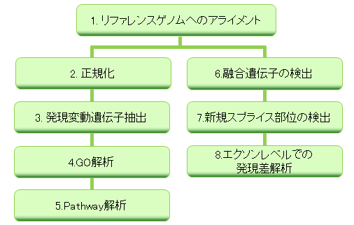 バイオインフォマティクス解析 バイオインフォマティクス解析