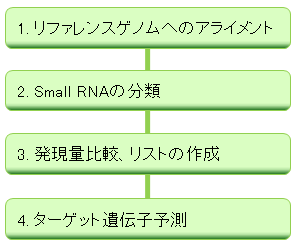 バイオインフォマティクス解析 バイオインフォマティクス解析